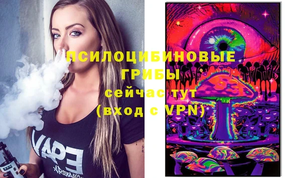 spice Абинск
