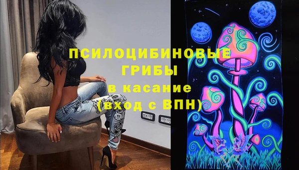 spice Абинск