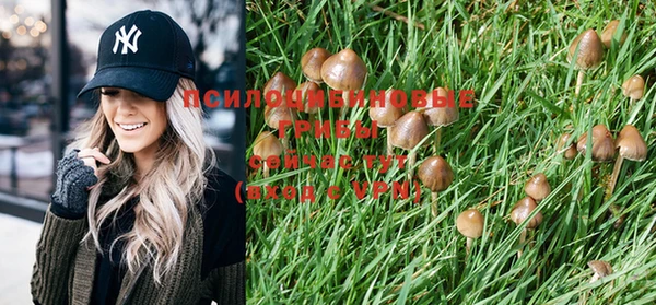 индика Снежинск
