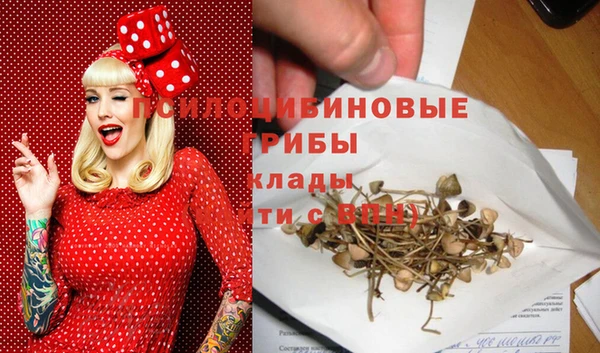 spice Абинск