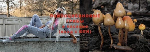 spice Абинск