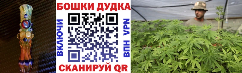 кракен онион  Кировград  Конопля планчик 